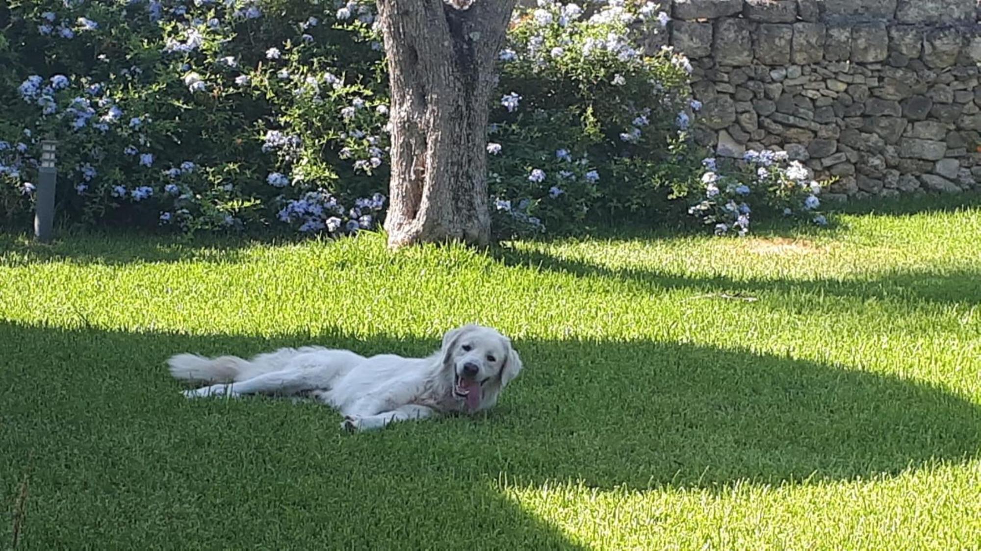 Willa La Dimora Dei Gelsi Castri di Lecce Zewnętrze zdjęcie